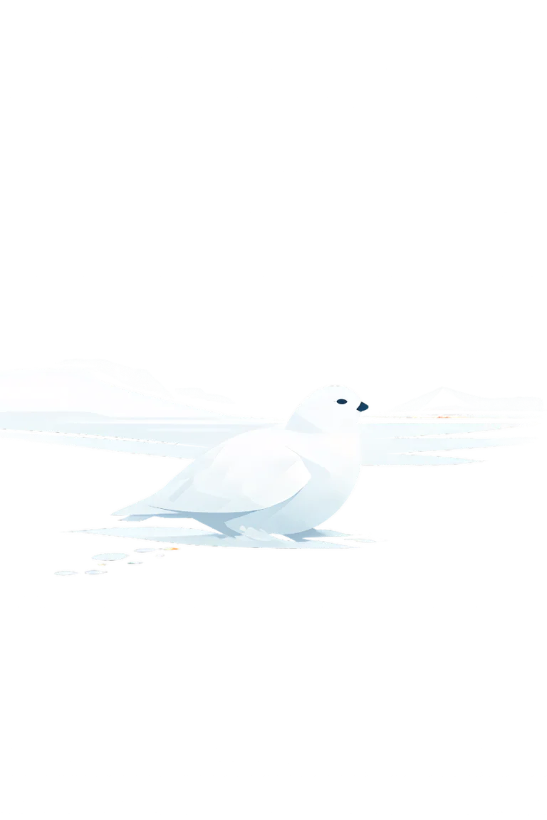 Minimalist Scandinavian snowy ptarmigan resting quietly on an Arctic snowfield with a rounded white silhouette, soft winter tones, generous negative space, and a calm low-poly geometric design.