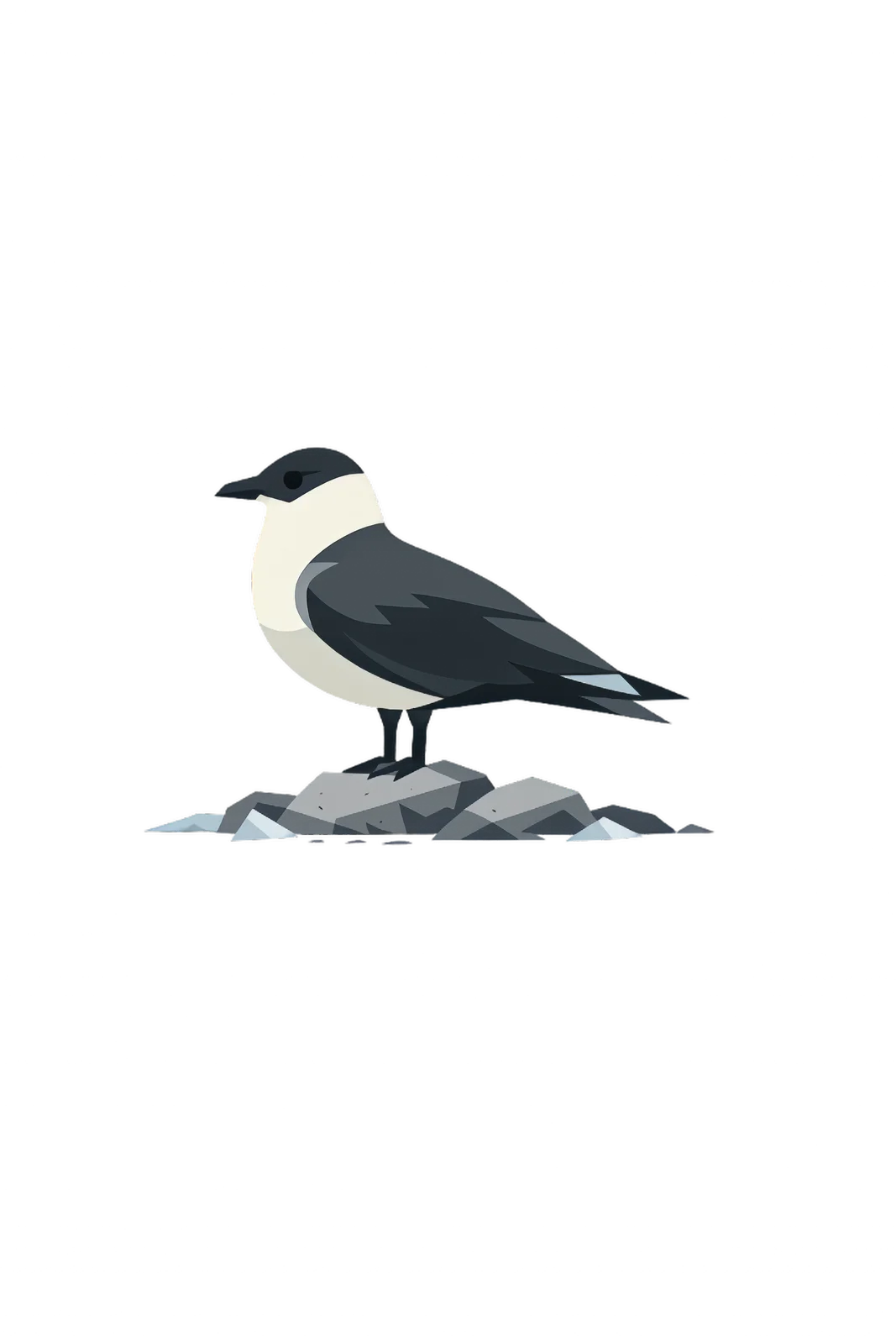Minimalist Scandinavian Arctic skua standing quietly on a coastal rock with elegant wings, flowing tail feathers, generous negative space, and a calm low-poly geometric design.