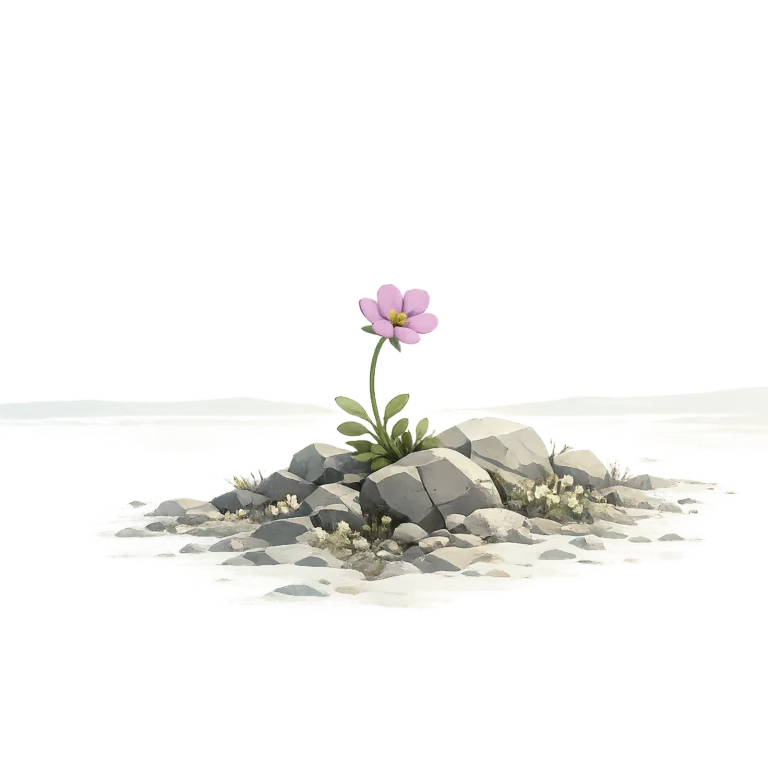 Minimalist Scandinavian purple saxifrage blooming from Arctic rocks with soft purple petals, generous negative space, and a calm low-poly geometric design.