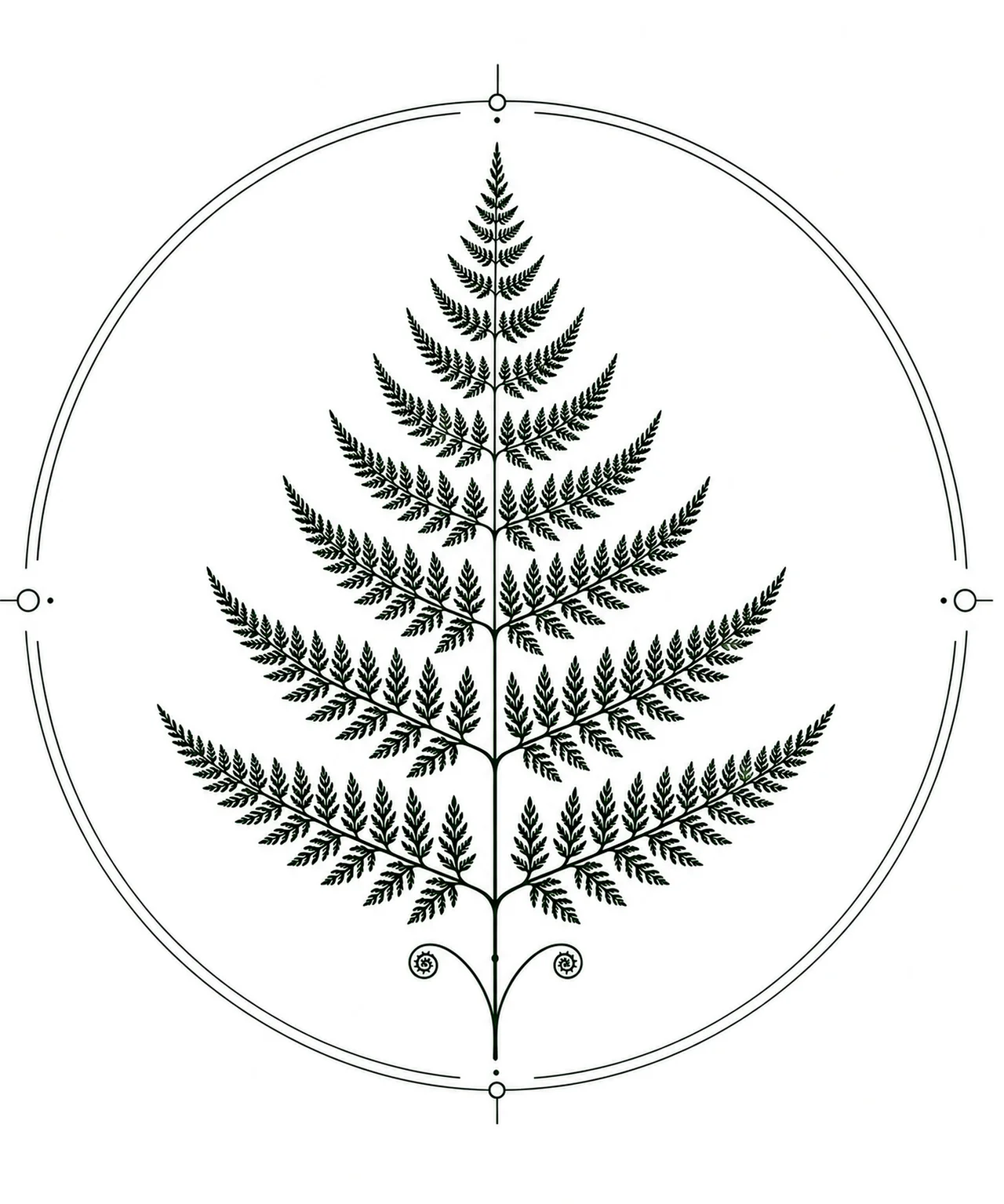 Fern artwork representing Norvian's Northern Flora collection.