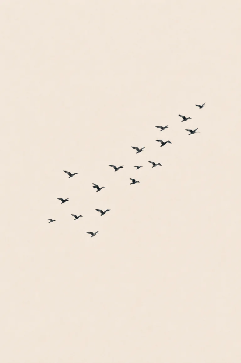 Minimal Scandinavian illustration of a scattered flock of small dark birds moving diagonally upward in the same direction across a bright background with generous negative space.